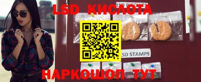 шишки Краснознаменск
