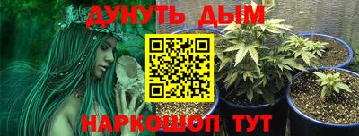 шишки Краснознаменск